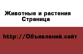  Животные и растения - Страница 988 